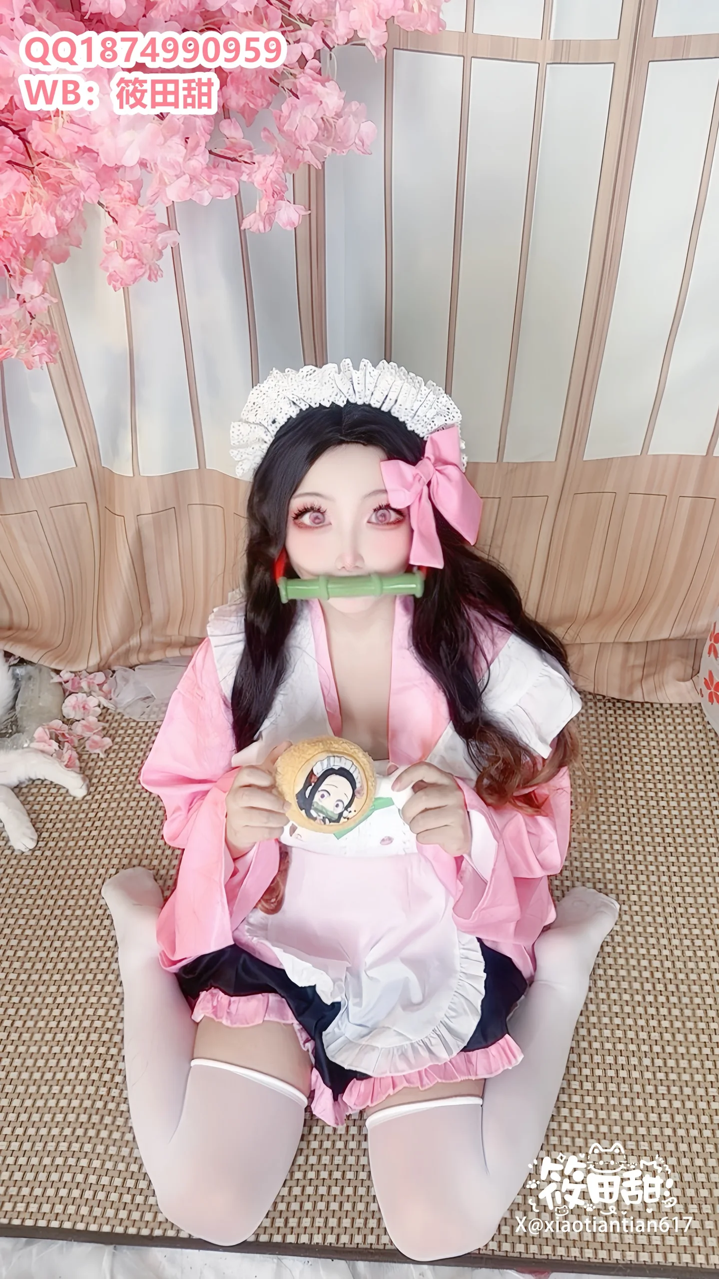 香草奶喵(筱田甜) - 祢豆子 - 第 3 张高清写真大赏