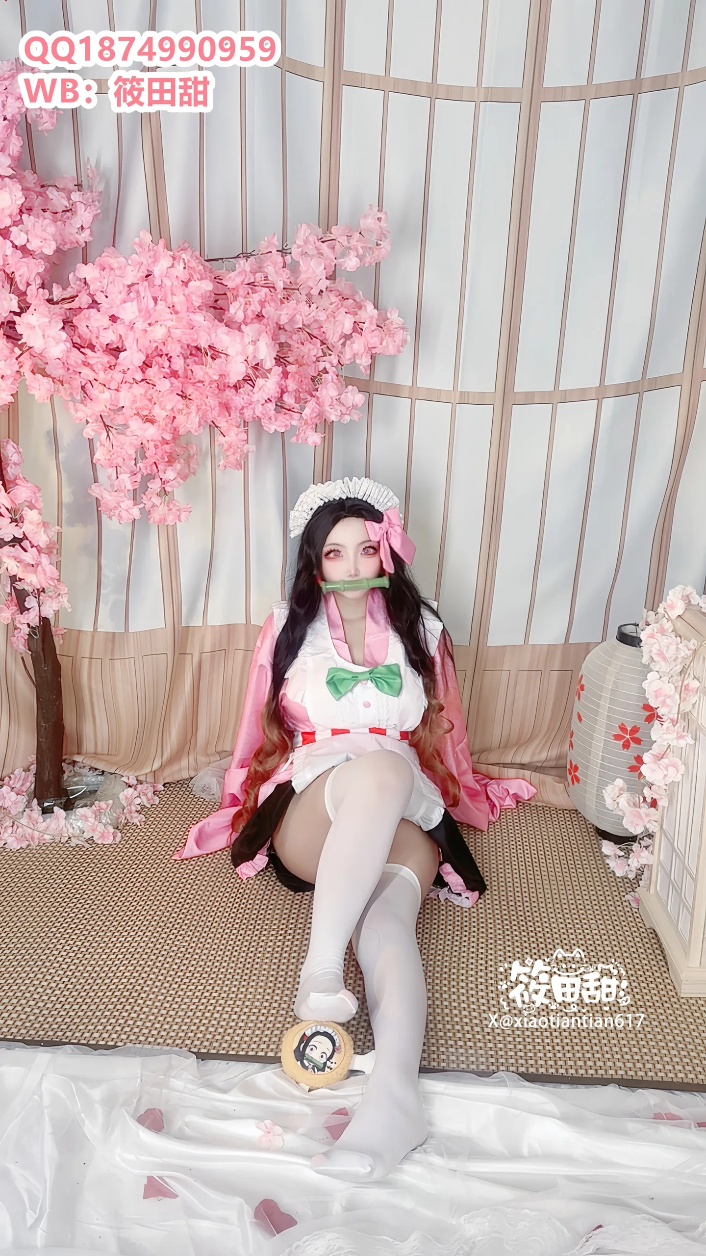 香草奶喵(筱田甜) - 祢豆子 - 第 7 张高清写真大赏