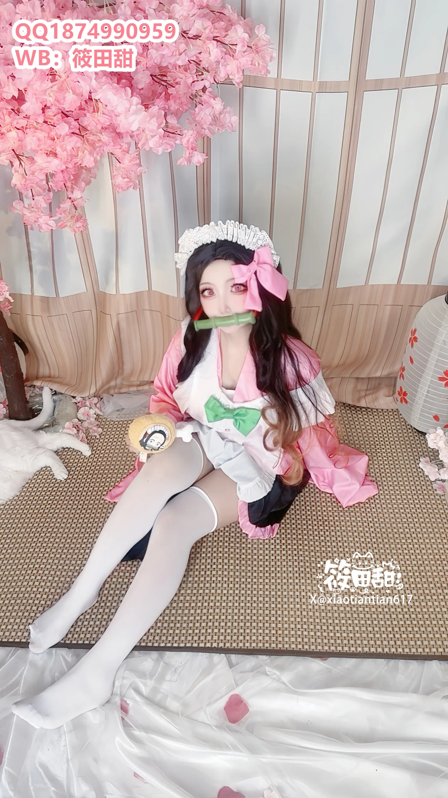 香草奶喵(筱田甜) - 祢豆子 - 第 18 张高清写真大赏