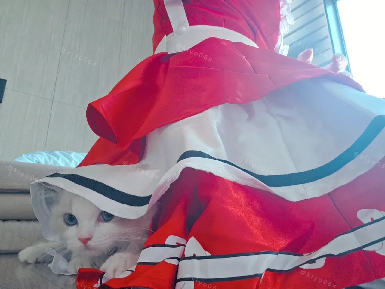 Kiyo - Pekora & Marine 38P - 第 4 张写真